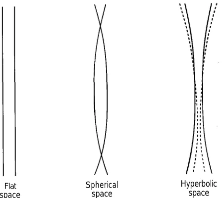 Fig. 2.2 On a flat surface, only parallel lines never meet. On a spherical surface all lines meet.On a hyperbolic surface there are many lines which never meet