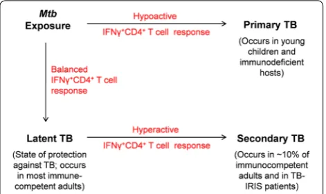 Fig. 1 Protective versus pathological role of IFNγduring most young children and immunodeficient people evokes a hypoac-tive IFNγopment in a subset of ART-treated, HIV- and bacilli