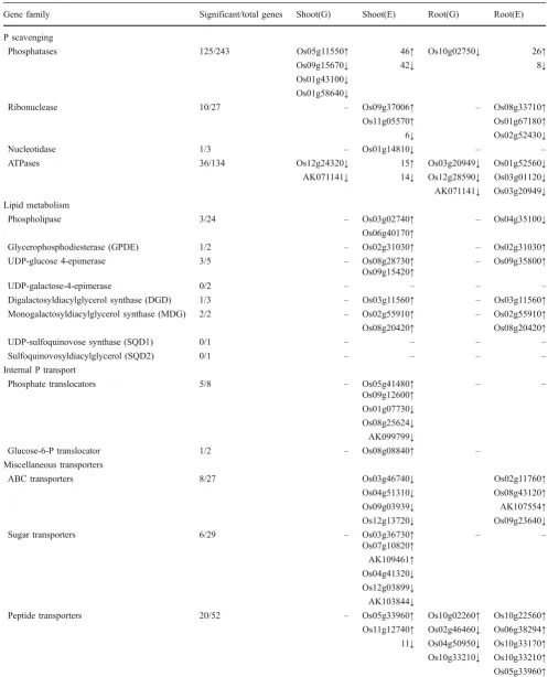 Table 4 Gene Families Associated with Internal Remobilization and Redistribution of P Differentially Regulated (p≤0.001) by P Deficiency (E)and Genotype (G)