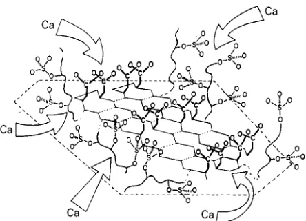 Figure 6Schematic representation of a putative nucleation siteAsp-rich oligopeptide domain that is assumed to adapt a highlyin molluscan tissues