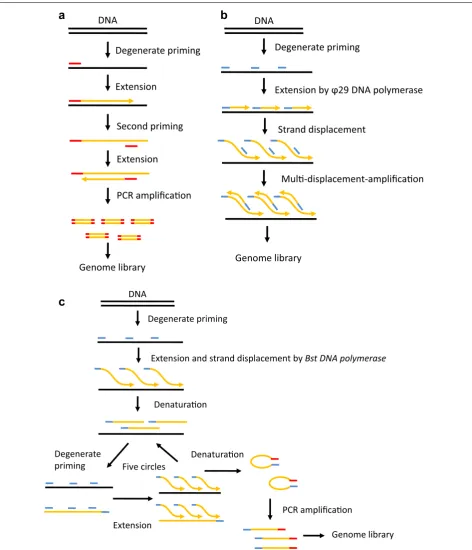 Fig. 2 Schematic of the whole genome amplification methods for single cell sequencing