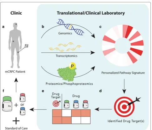 Fig. 1 Conceptual diagram of the integration of phosphoproteomics into prostate cancer clinical management
