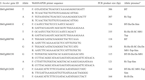Fig. 6 SNP density per sorghum chromosomes. The number of SNPsper kb of sequence was calculated based on the number of genessequenced belonging to a given chromosome