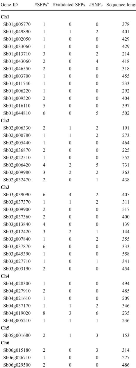 Table 1 Sorghum Genes with SFPs Predicted by the GeSNPSoftware