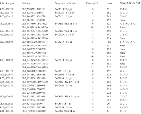 Fig. 4 The position of the SNP along the 25mer in the probe pairinfluences the SFP validation
