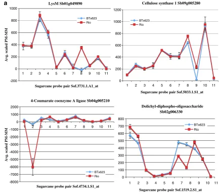 Fig. 5 GeSNP prediction of SFPs in sorghum genes related to biofueltraits. The hybridization intensity between the perfect match and themismatch oligonucleotides was averaged and scaled (GeSNP softwareoutput) and plotted against each sugarcane probe pair