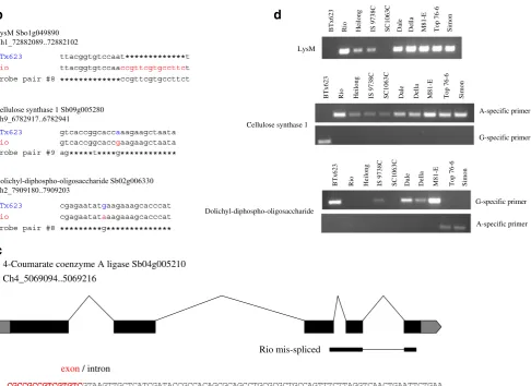 Fig. 5 (continued).