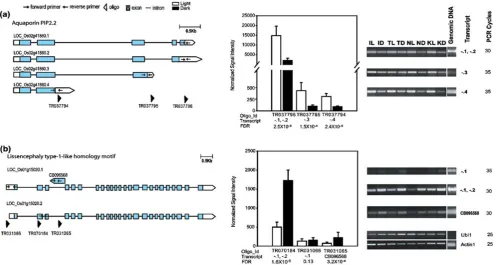 Fig. 4 Examples of alternatively spliced transcripts represented byfor aquaporin PIP2.2 (three oligos on the NSF45K array