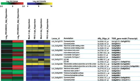 Fig. 5 Identification of alternatively spliced transcripts that showover spot intensity in Mock 4 dpi