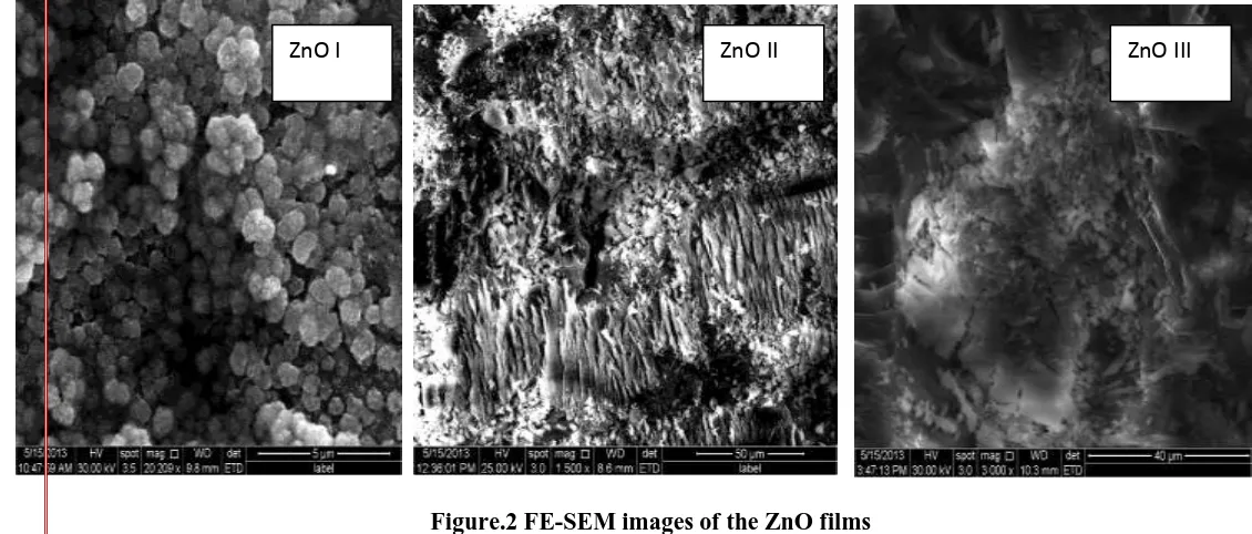 Figure.2 FE-SEM images of the ZnO films 