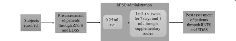 Fig. 1 Schematic diagram for methodology. RNFS reverse nutech functional score; EDSS expanded disability status scale; hESC human embryonic stem cell; sc subcutaneous; iv intravenous