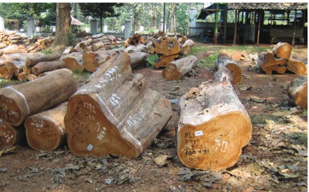 Figure 6: Examples of paint marking and barcoding
