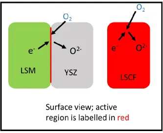 Figure 1.4: An illustration of the active regions of a dual-phase cathode (LSM-