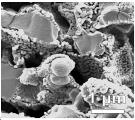 Figure 1.5: SEM of an LSF-YSZ infiltrated SOFC cathode. The bulk part is the 