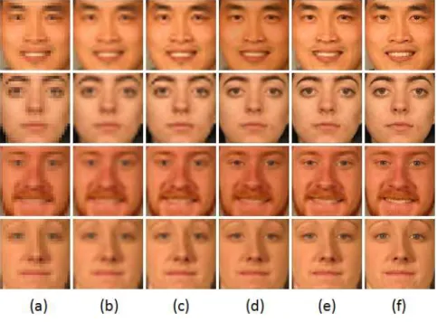 Figure 4.5: Results of our algorithm compared to other methods. From left to right columns: (a) low-resolution input; (b) bicubic interpolation; (c)  back-projection; (c) global model via NMF followed by bilateral filtering; (d) global model combined with 