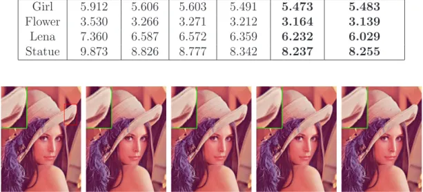 Table 4.1: The RMSEs of the reconstructed images using dictionaries of different sizes, and using the raw image patches directly from which the dictionaries are trained.