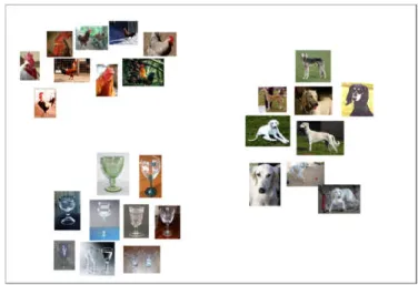 Figure 2.5 - Example of expected clusters of object images (samples from ImageNet [28])