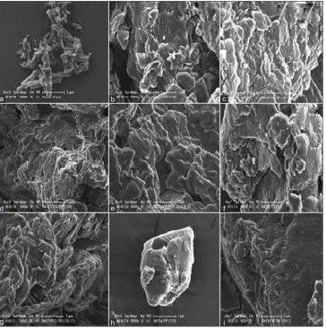 Fig. 7: Scanning electron micrographs.Scanning electron micrographs of: (a) pure EFV and solid dispersions formed in drug‑polymer weight ratio of 1:10 using fusion method with (b) PEG 8000, (c) PEG 8000 and Tween 80, (d) PEG 8000 and PVP K30, (e) PEG 8000, PVP K30 and Tween 80, and using solvent method with (f) PEG 8000, (g) PEG 8000 and Tween 80, (h) PVP K30, (i) PVP K30 and Tween 80.