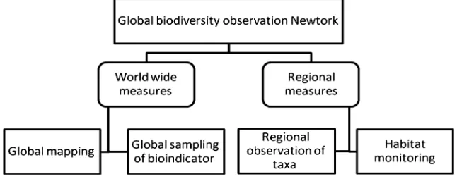 Figure 2. Representation of global biodiversity monitoring system. 