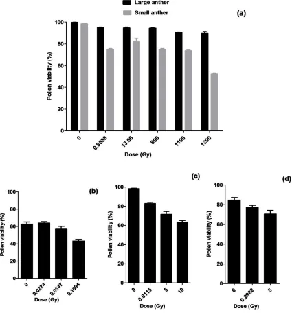 Figure 6: Effect of acute low and high dose gamma radiation on pollen viability 