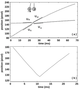 Figure 2.6. Time evolution of (a) the particle trajectories and (b) the distance between the 