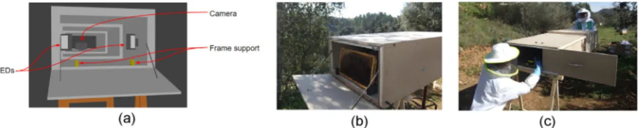 Fig. 2. (a) Details of the interior of the tunnel. (b) Tunnel installed in an apiary showing the comb frame placed on holders
