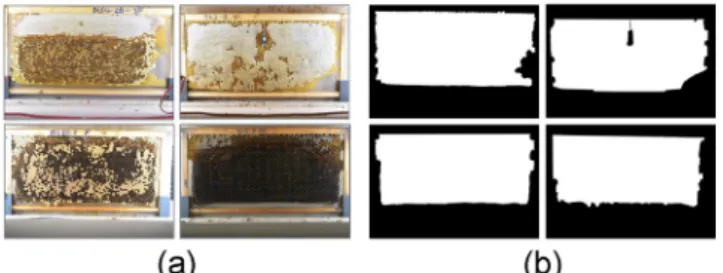 Fig. 6. Tiles created from the original images and respective labels.