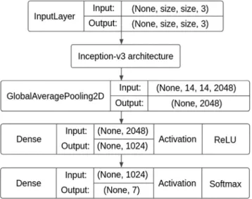 Fig. 12. Developed architecture based on InceptionV3. Fig. 13. Augmented examples generated from an original image.