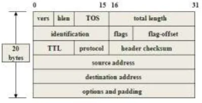 Fig. 1.IPv4 Header Format 