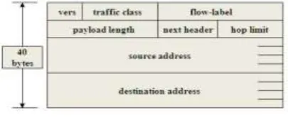 Fig. 2.Header Format of IPv6 