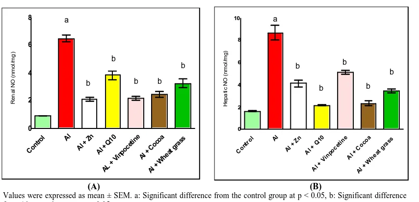 Fig. 19. Effect of both Al alone and in combination with Zn, CoQ10, Vinpocetine, Cocoa or Wheat grass on renal and hepatic NOlevel in rats