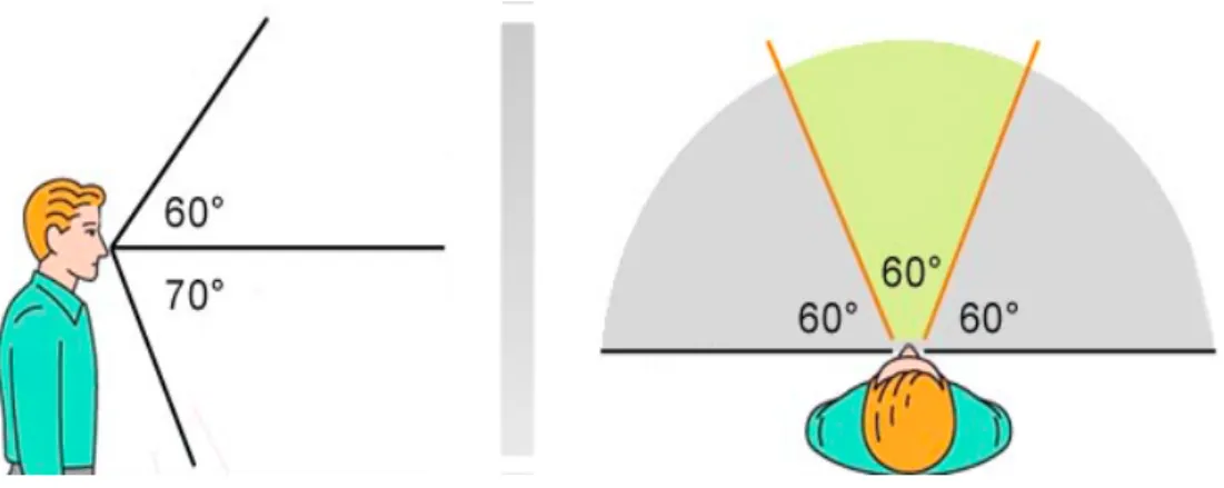 Figure 1.4: Visual field. On the right: the central yellow part is the area where you are able to perceive the details, the sides in gray represent the peripheral visual areas, i.e