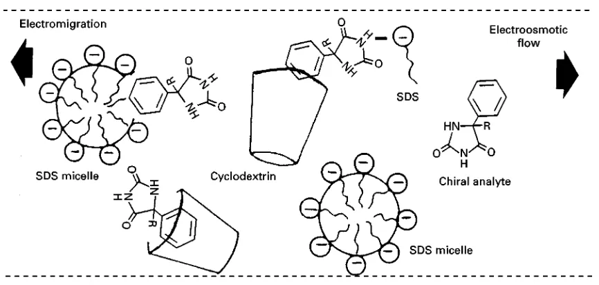 Figure 6Schematic of the chiral analyte 5-alkyl-5-phenyl hydantoin distributed between the cyclodextrin, the aqueous phase and themicelle