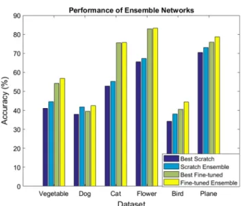 Fig. 8 The accuracy of the best scratch and fine-tuned networks compared to their respective ensembles