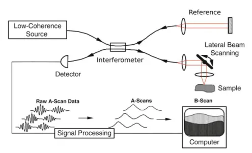 Figure  1.6:  Schematic  diagram  of  a  generic  optical  coherence  tomography  (OCT)  device