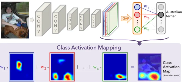 Figure 2. Class Activation Mapping: the predicted class score is mapped back to the previous convolutional layer to generate the class activation maps (CAMs)