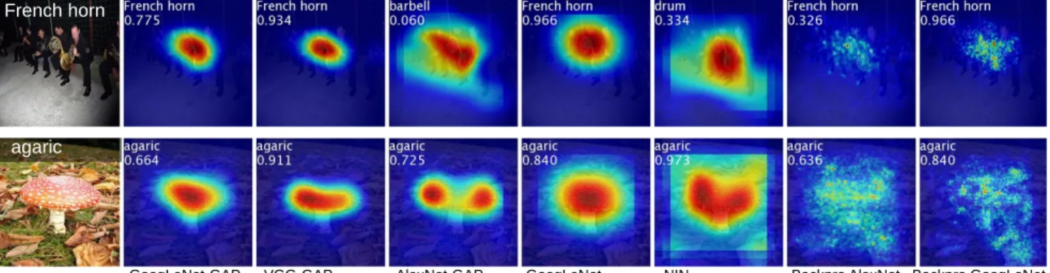 Figure 5. Class activation maps from CNN-GAPs and the class-specific saliency map from the backpropagation methods.