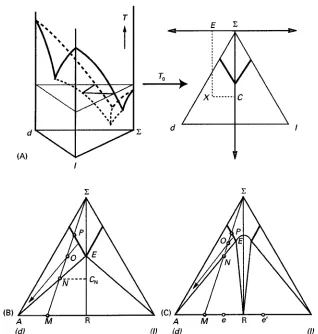 Figure 2(A) 3D-representation of aa ternary system X is conveniently defined by its cartesian coordinates (C, E )