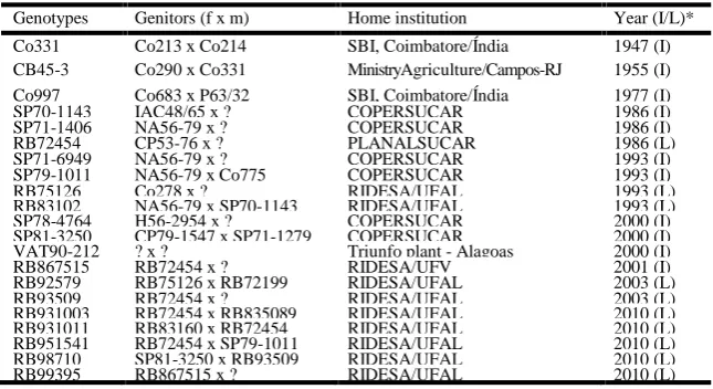 Figure 1. Grouping of representative dendrogram cultivars by Ward method using the Jaccard index