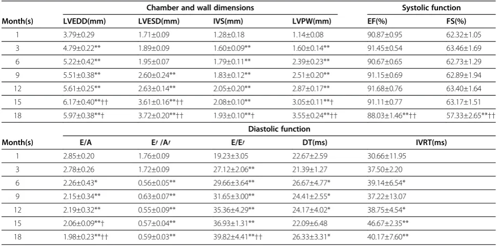 Table 1 Echocardiographic data of SHR