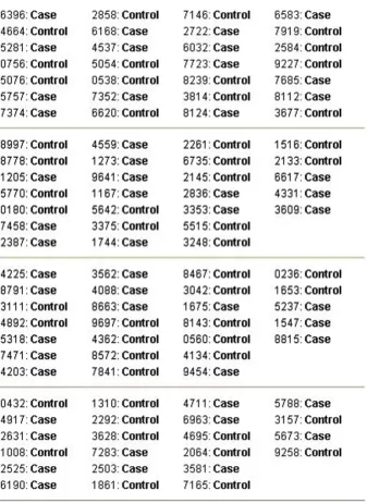 Figure 4Sample outputSample output. Sample output for a block randomization with random block sizes.