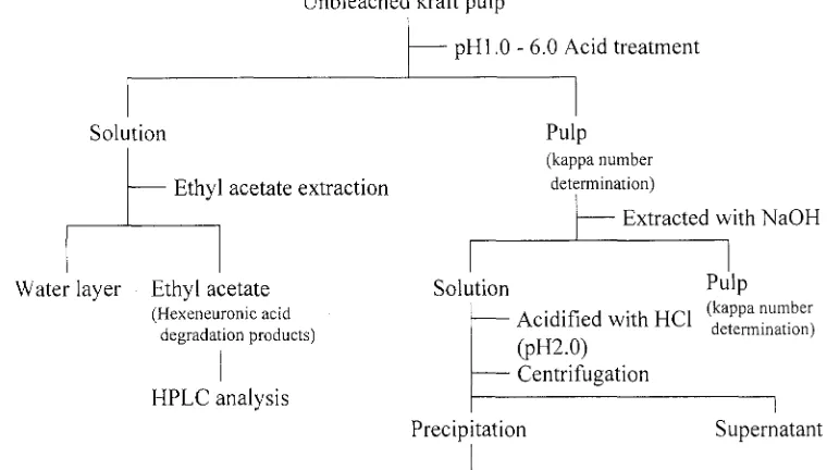 Fig. 3. Analytical scheme of hexeneuronic acid degrada- tion products and lignin. HPLC, high-performance liquid chromatography 