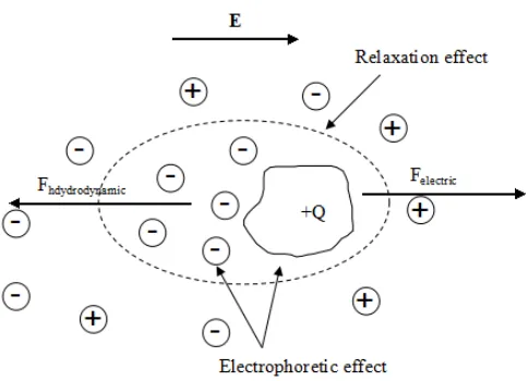 Figure 1-2: An irregular shaped charged particle in neutral solution surrounded by electrolyte ions in the presence of electric field 