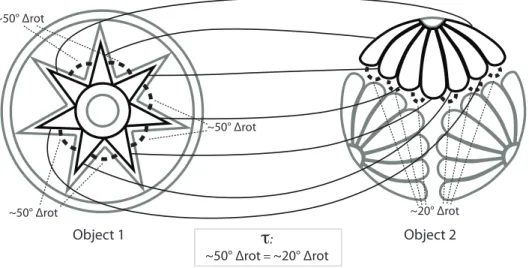 Figure 6: An association produced by Idiom which maps adjacent points of the seven-pointed star in Object 1 to adjacent petals of the top floret in Object 2, based on interpreting the “50 ◦ orientation difference”