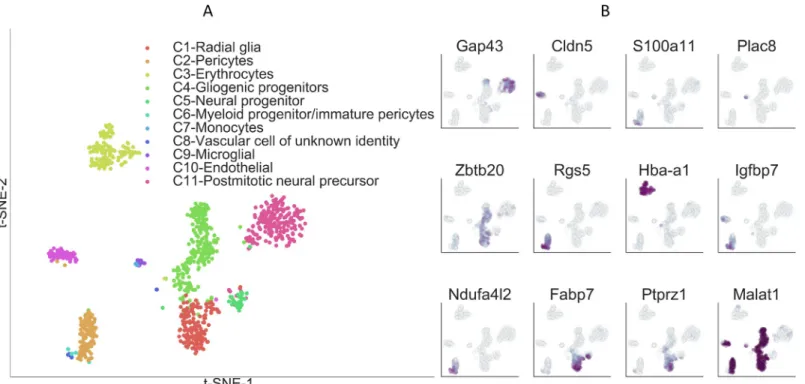 Fig 6. Single-cell clusters of mouse embryonic hypothalamus identified by PanoView. (A) Visualization of identified cell types from embryonic hypothalamus using t-SNE