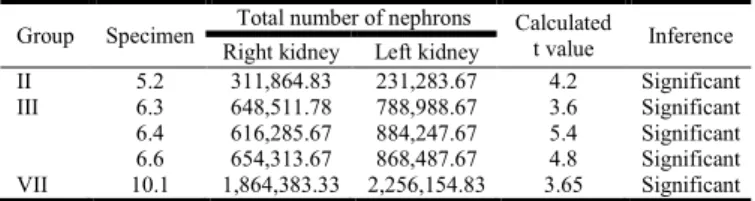 Table 11. Significance of variance in the total number of glomeruli  at different gestational ages (t-Test) 
