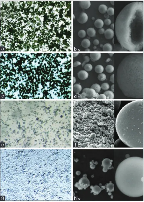 TABLE 1: CHARACTERISTICS OF BUDESONIDE‑CONTAINING EUDRAGIT® MICROPARTICLES PRODUCED BY SOLVENT EVAPORATION (SE) OR SPRAY‑DRYING (SD)