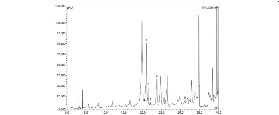 Fig. 3 Effect of Citrus macroptera peel powder on hepatic iron deposition in CCl4 treated rats