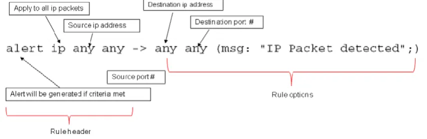 Figure 6: A Typical Example for Snort Rule 