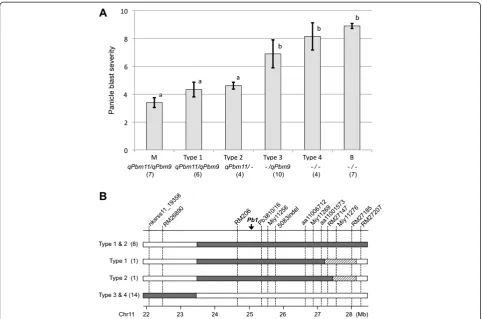 Figure 5 Major contribution of qPbm11 for panicle blast resistance and its location. (A) Effect of two QTLs on panicle blast resistance.M and B represent the parental cultivars of Miyazakimochi and Bikei 22, respectively